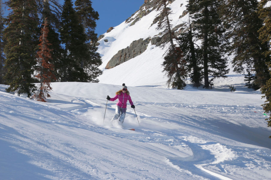 Family Ski Resort Choices, in Six Regions